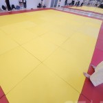 STARCO RUMAT230 柔道墊, 符合IJF標準, 技擊運動地墊